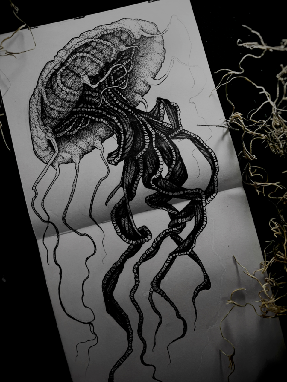 Jellyfish hand drawing